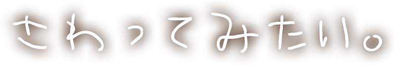������Ă݂����B